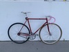 Colnago Pista photo