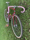 Colnago Pista photo