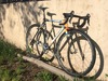 Colnago Rabobank Cyclocross photo