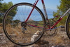 Colnago Red Master photo