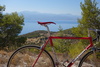 Colnago Red Master photo