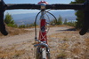 Colnago Red Master photo