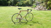 Colnago Super 1983 Saronni photo