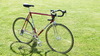 Colnago Super 1983 Saronni photo
