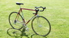 Colnago Super 1983 Saronni photo