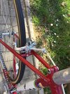 Colnago Super photo