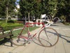 Colnago Super Saronni 1980, the Bliss photo