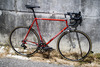 Colnago Super Piu photo