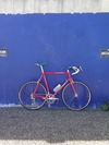 Colnago Team Custom photo