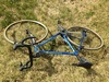 1995 Colnago Tecnos 11 speed Campagnolo photo