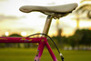 Colnago Tecnos photo