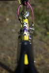 Colnago Tecnos photo