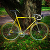 Colnago Tecnos photo