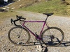 Colnago Tecnos photo