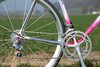 Colnago Tecnos Art Decor photo