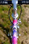 Colnago Tecnos Art Decor photo