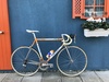 Colnago Tecnos - Rabobank Team photo