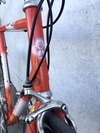 Colnago Titan Art Decor photo