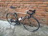 Colnago titanio photo