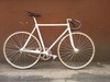 "colnano" (colnago paint job) pearl photo