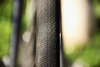 Colossi photo