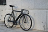 Colossi 14 Low Pro photo