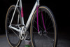 Colossi Al colossione x Vivalo NJS /59cm photo