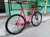 Colossi Cheeko Red photo