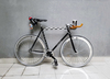 Colossi Fixed gear photo