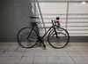 Colossi Fixed gear photo