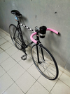 Colossi Fixed gear photo