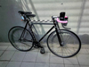 Colossi Fixed gear photo