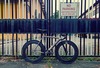 Colossi Low Pro photo