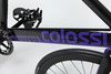 Colossi Low Pro photo