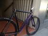 Colossi Low Pro photo