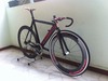 Colossi Low Pro 14 Limited photo