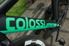 Colossi Low Pro photo