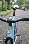 Colossi Low Pro - Indonesia photo