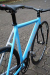 Colossi Low Pro - Indonesia photo