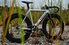 Colossi Low pro photo