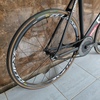 Colossi Low Pro photo