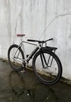 Colossi Low PRO photo