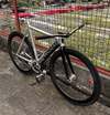 Colossi Low PRO photo