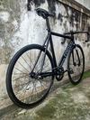 Colossi Low Pro photo