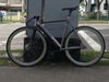 Colossi Low Pro photo