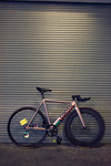 Colossi Low Pro - Custom photo