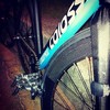 Colossi LOW PRO Custom photo