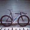 Colossi LOW PRO Custom photo