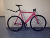 Colossi Low Pro M 54cm photo