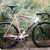 Colossi Low Pro Special *Disco Glitter* photo